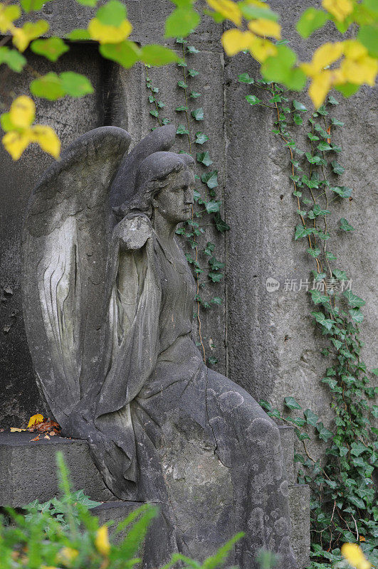 墓地上的天使雕像