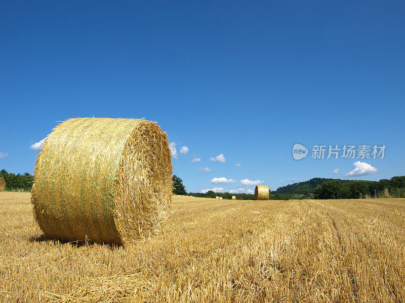 圆形干草包