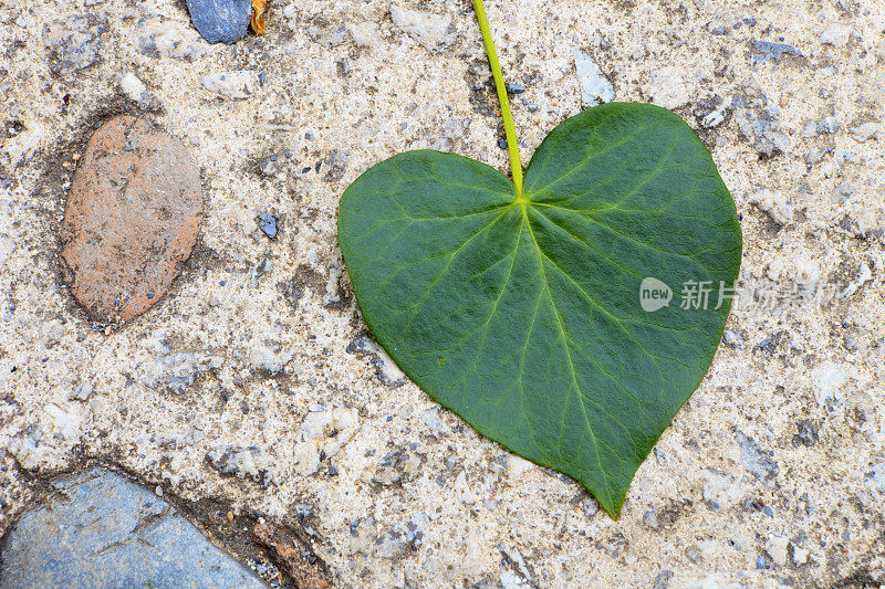 爱情触礁