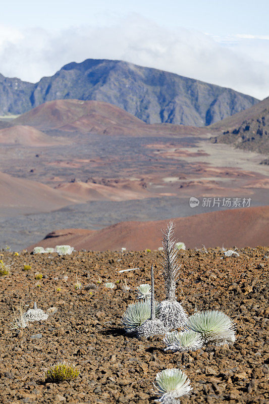 哈雷阿卡拉火山口,毛伊岛