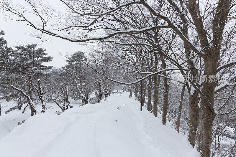 日本的冬季景观