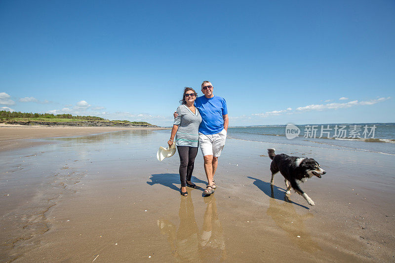 一对成熟的夫妇带着狗在海滩上散步