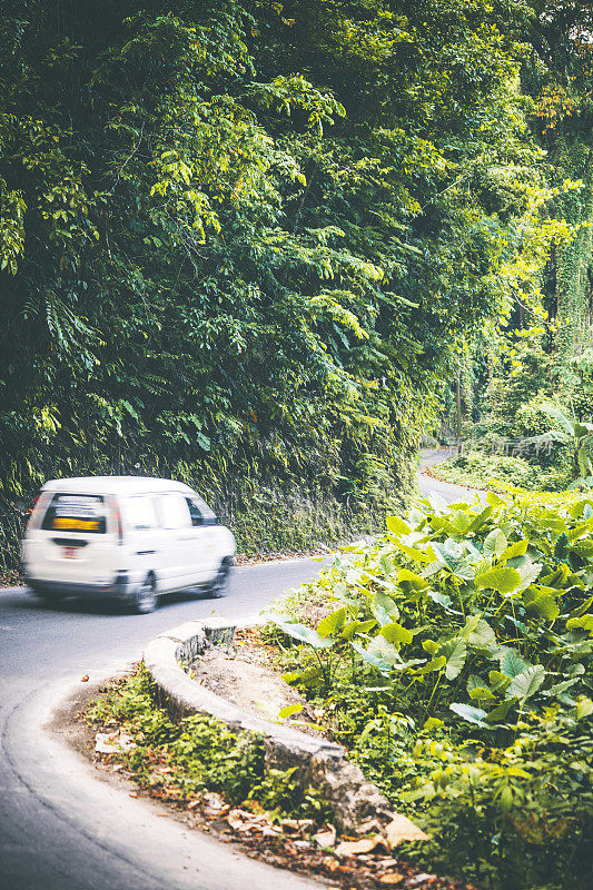 丛林的道路。