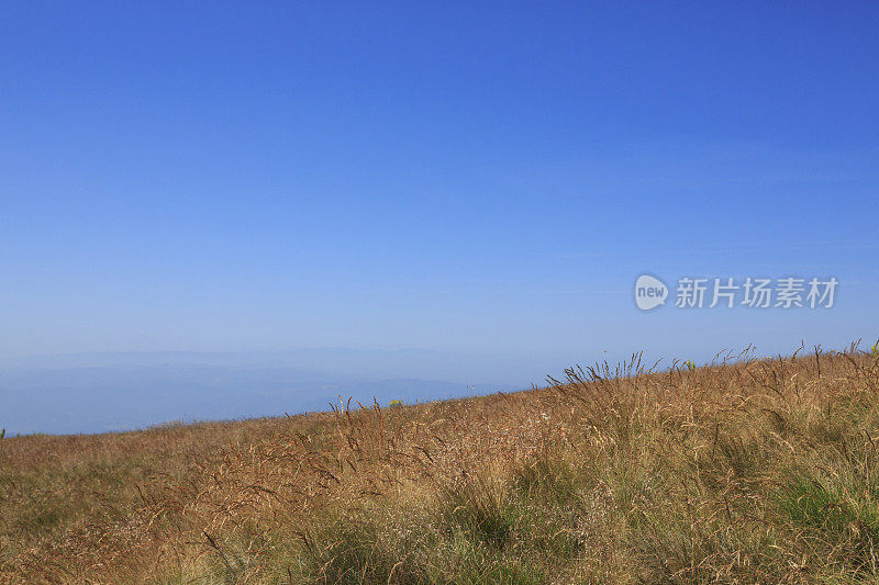 山景风景风景山景与野花高山草甸