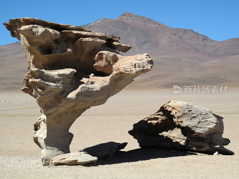 玻利维亚高原的石树
