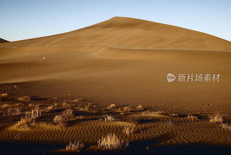 布鲁诺沙丘州立公园