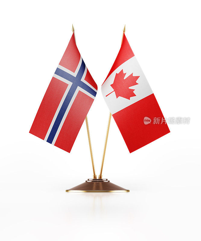 挪威和加拿大的微型国旗