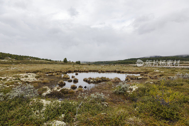 多山景观与沼泽在挪威的山区。