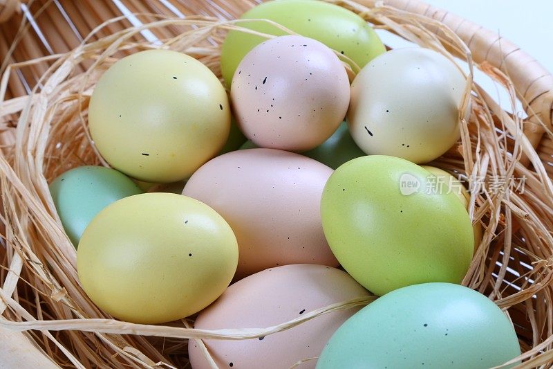 多色农场的鸡蛋