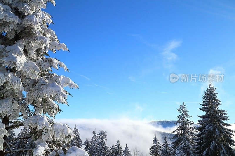 黑森林的自然和景观