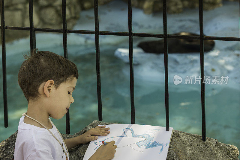 一个男孩在画囚禁中的海豹