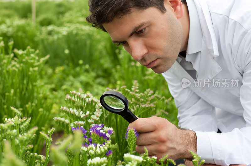 科学家用放大镜检查植物