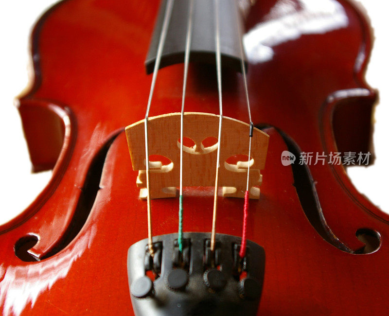 桥的小提琴