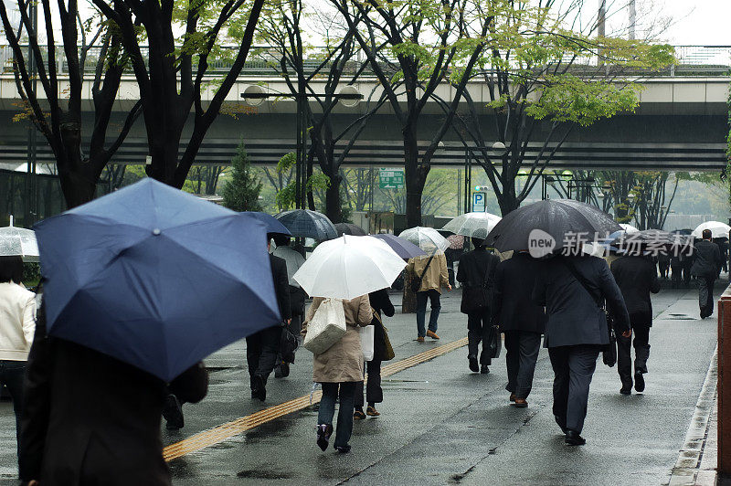 雨中撑伞的人