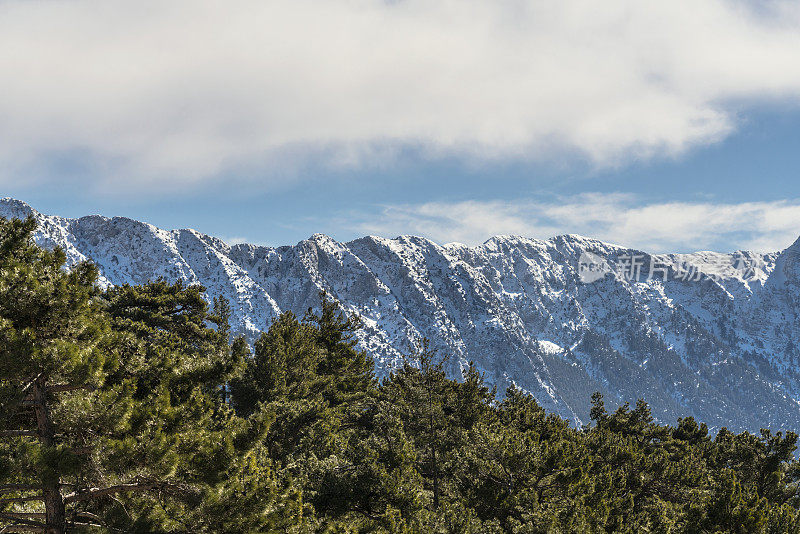 冬天的风景