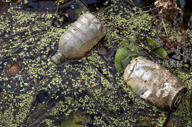 淡水湖中丢弃的罐头和塑料瓶，上面有苍蝇。