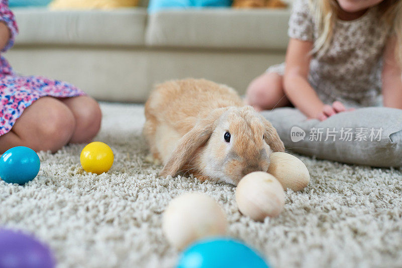 可爱的兔子嗅着复活节彩蛋