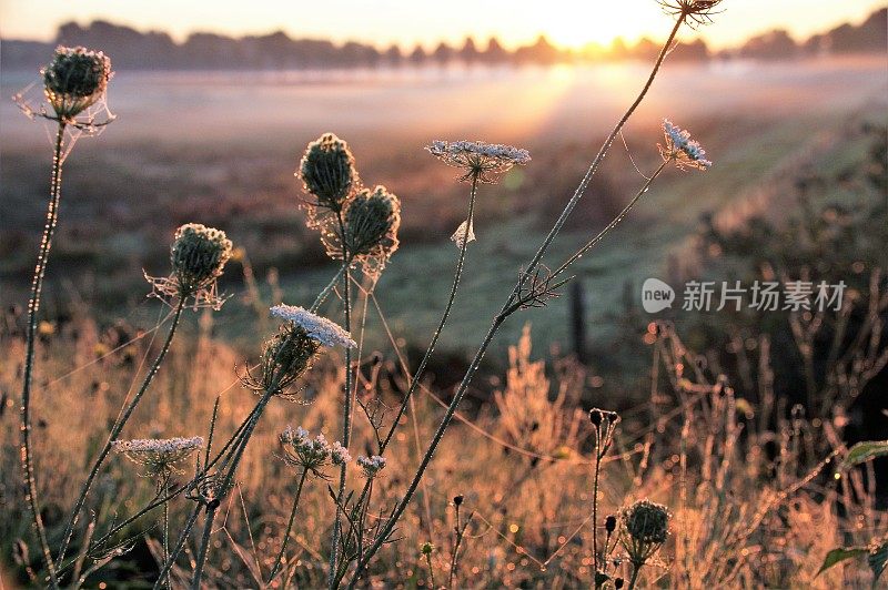 乡村的日出景象