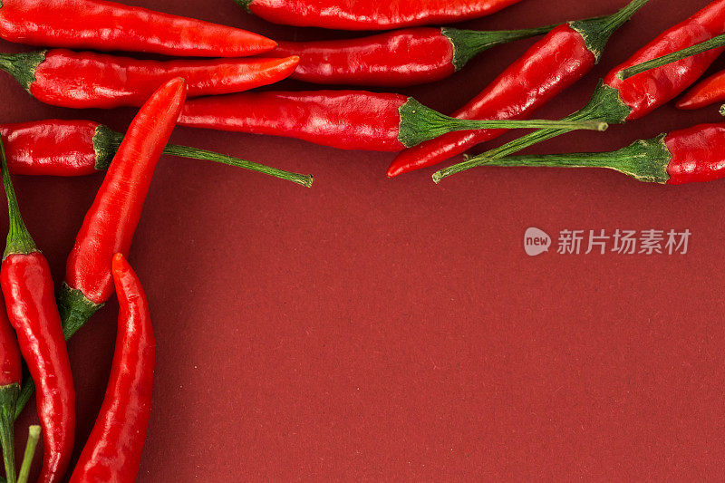 红辣椒，流行的香料概念——美丽的构图，在红色的背景上铺设一个彩色区域的红辣椒豆荚，俯视图，平铺，自由的文字空间