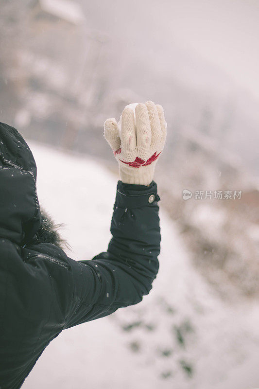 雪球在手里