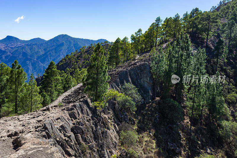 大加那利岛阿尔塔维斯塔山的风景