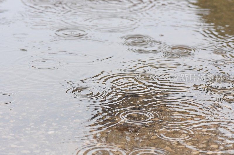 池塘里的雨滴