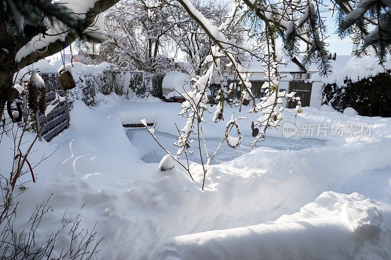 2019年1月暴风雪后的花园和池塘。巴伐利亚,德国。