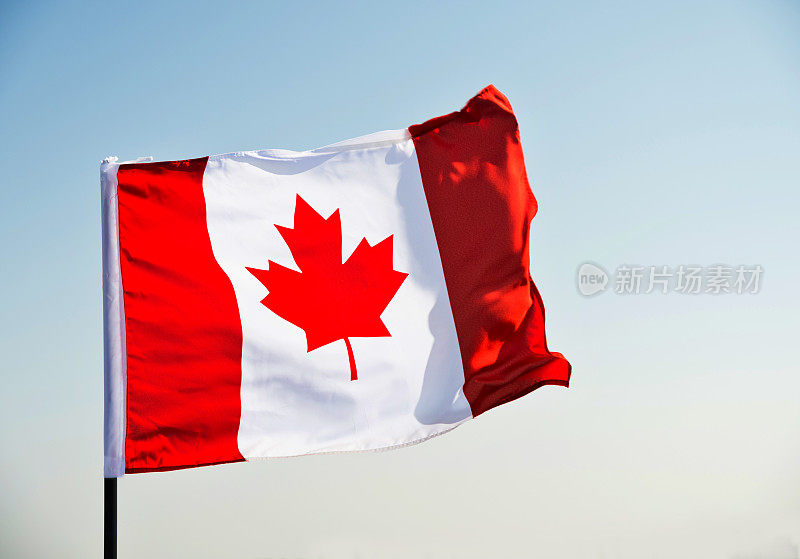 在晴朗的蓝天下飘扬的加拿大国旗