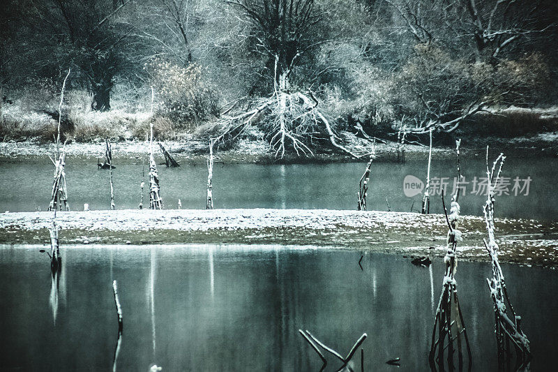 第一场雪，多瑙河的冬景――河口和沼泽