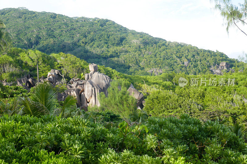 大安西岛，拉迪格岛，塞舌尔岛