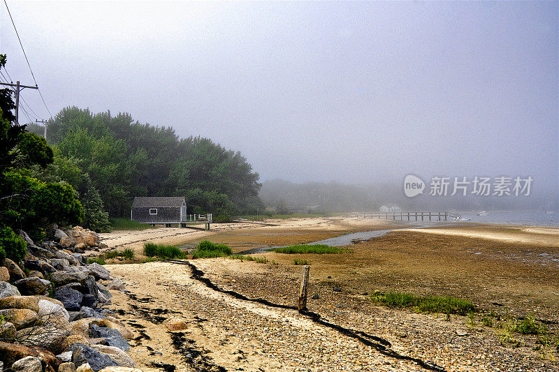 夏天的场景，在海岸线上的海滩低潮，科德角，新英格兰，美国