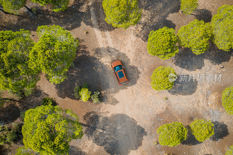 鸟瞰图上的汽车在蜿蜒的森林道路在荒野