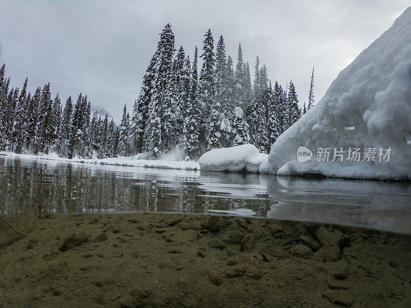 半水下拍摄的翡翠湖与松树覆盖的雪