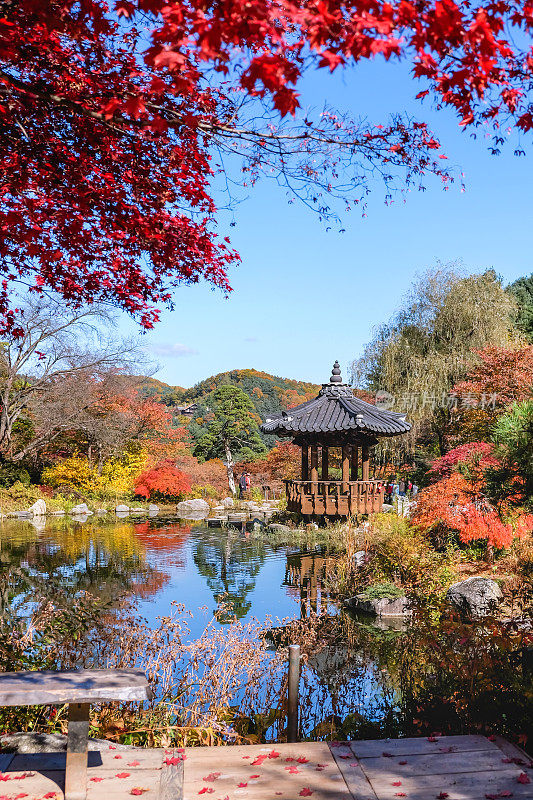 韩国加平区晨静花园中的美丽凉亭