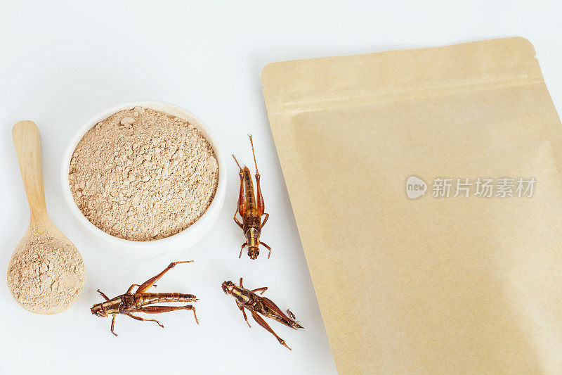 蚱蜢昆虫粉。直翅目昆虫食用面粉是用煮熟的昆虫肉制成的食材，用碗、匙和包装袋包装，是很好的蛋白质来源。昆虫学的知识概念。
