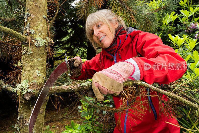 在林地花园中使用修剪锯的妇女