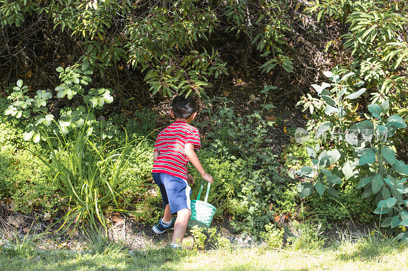 男孩在复活节期间在公园里寻找彩蛋