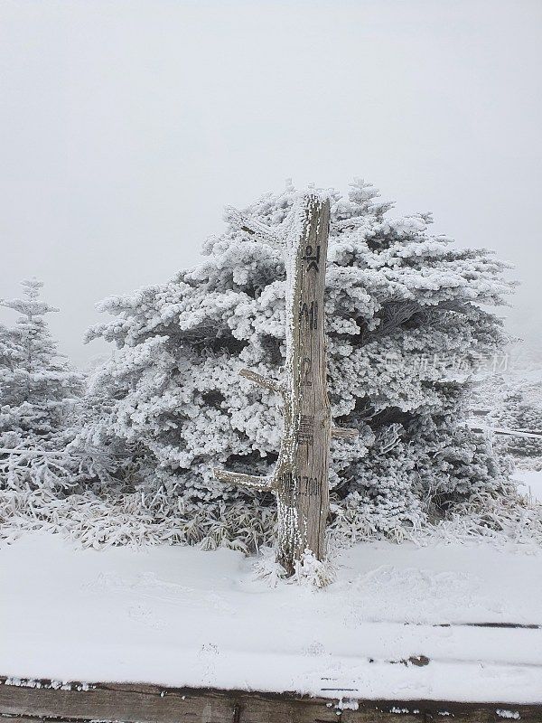 济州岛的第一场雪