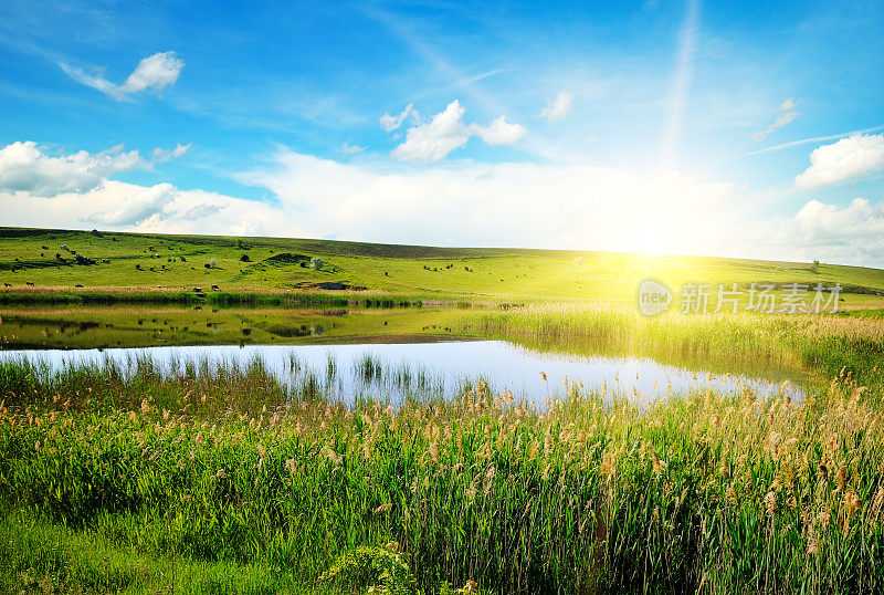美丽的日落风景与反射在一个闪亮的湖与绿色的芦苇，草，金色的阳光，平静的水，深蓝色多云的天空和辉光在一个背景，春天的傍晚景观