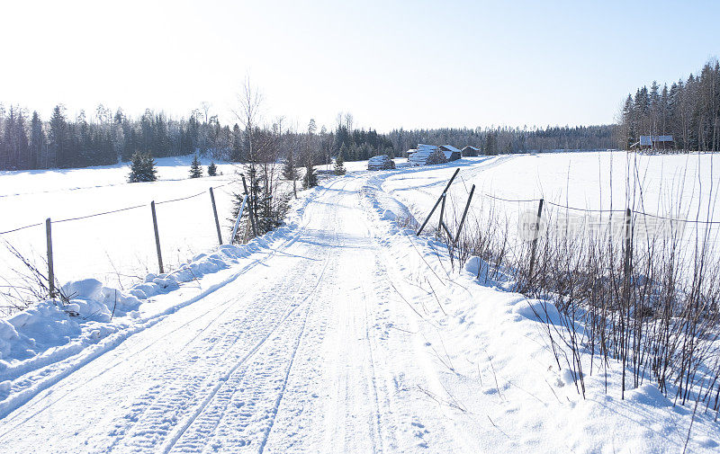 伐木和农场谷仓。芬兰的冬季景观有积雪的道路和树木。