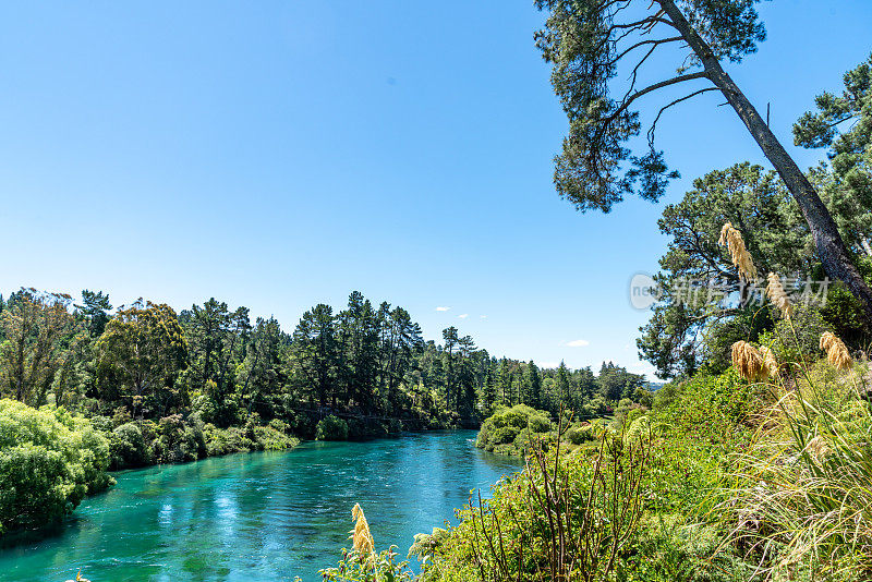 新西兰陶波韦拉凯公园的怀卡托河
