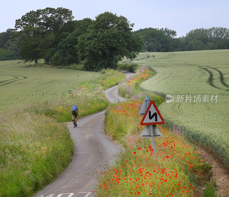 蜿蜒的道路