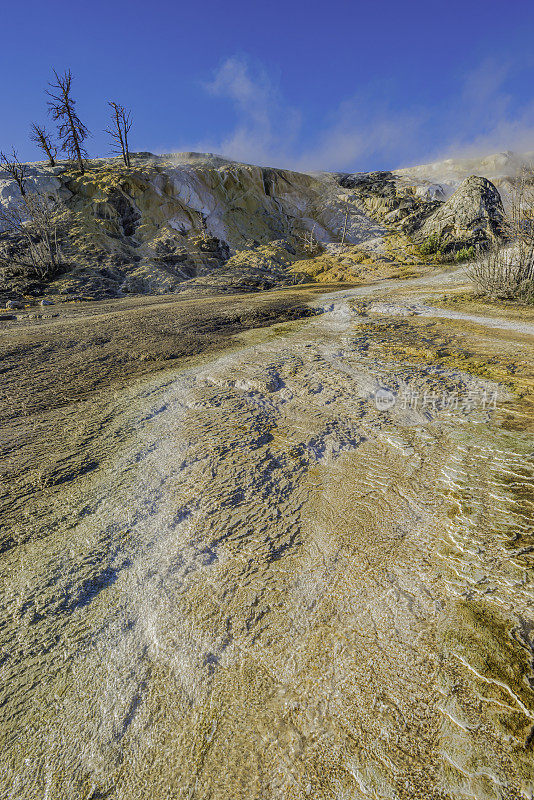 黄石国家公园的猛犸温泉区展示了石灰华梯田。