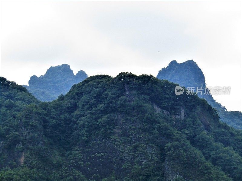 日本的蓝山。