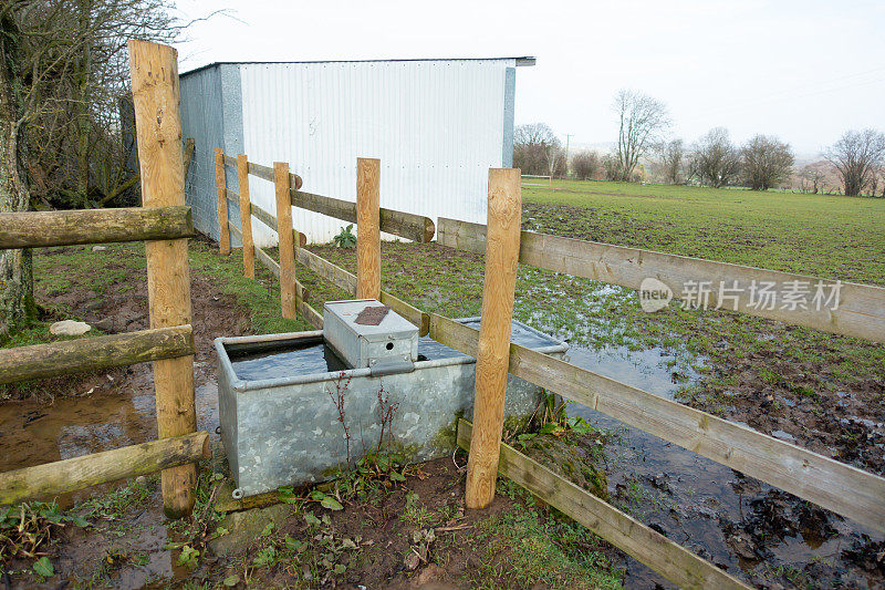 被泥和洪水包围的冬天动物们用来喝水的水槽