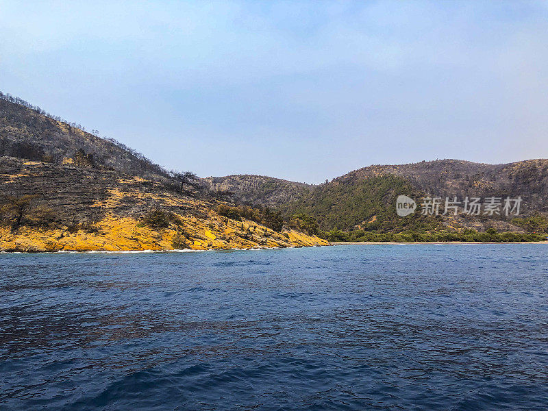 海岸森林大火之后