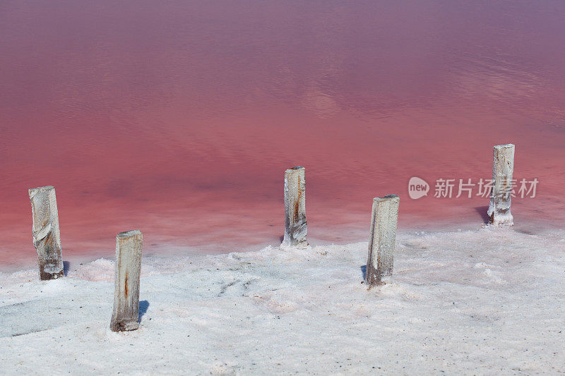 海岸线上有粉红色的盐湖，独特的杜氏藻