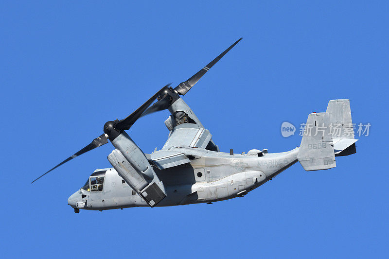 美国海军陆战队(USMC)贝尔波音MV-22B鱼鹰倾转旋翼军用运输机从VMM-262“飞虎队”。