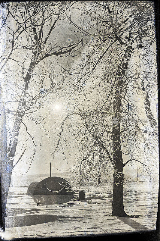 1940年停战日暴雪后，树上结了冰，地上也结了雪