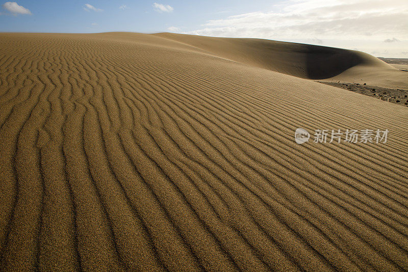 纳米布沙漠沙丘上的低角度风条纹